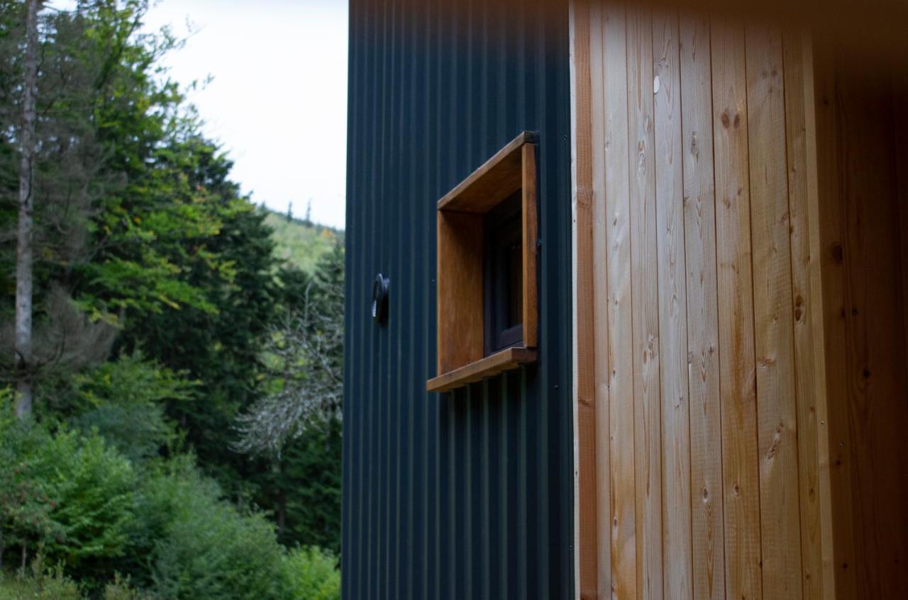 Panorama / Tinyhouse Holiday home